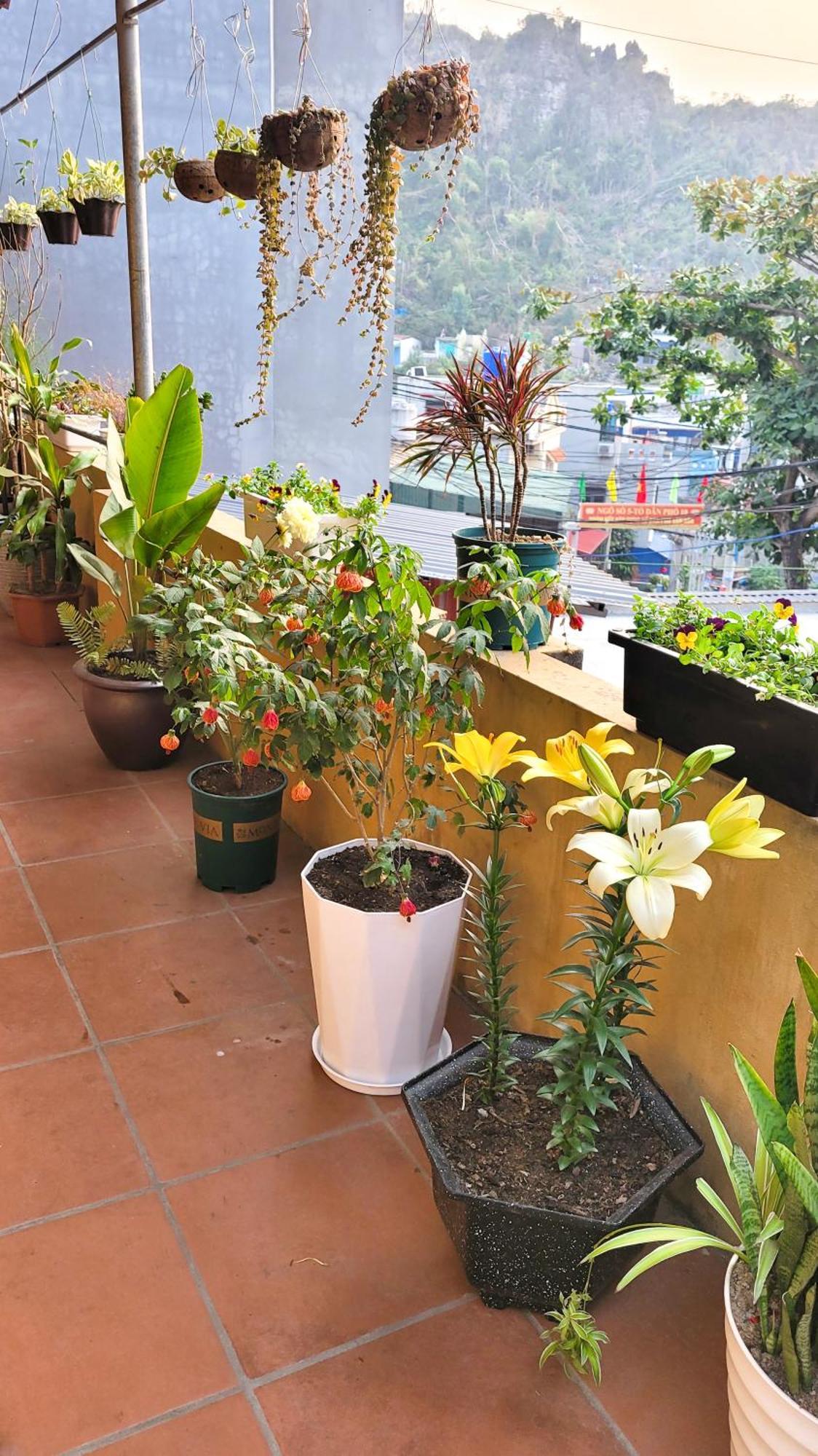 ホテル Tiny Garden House Cat Ba Chan Chau エクステリア 写真