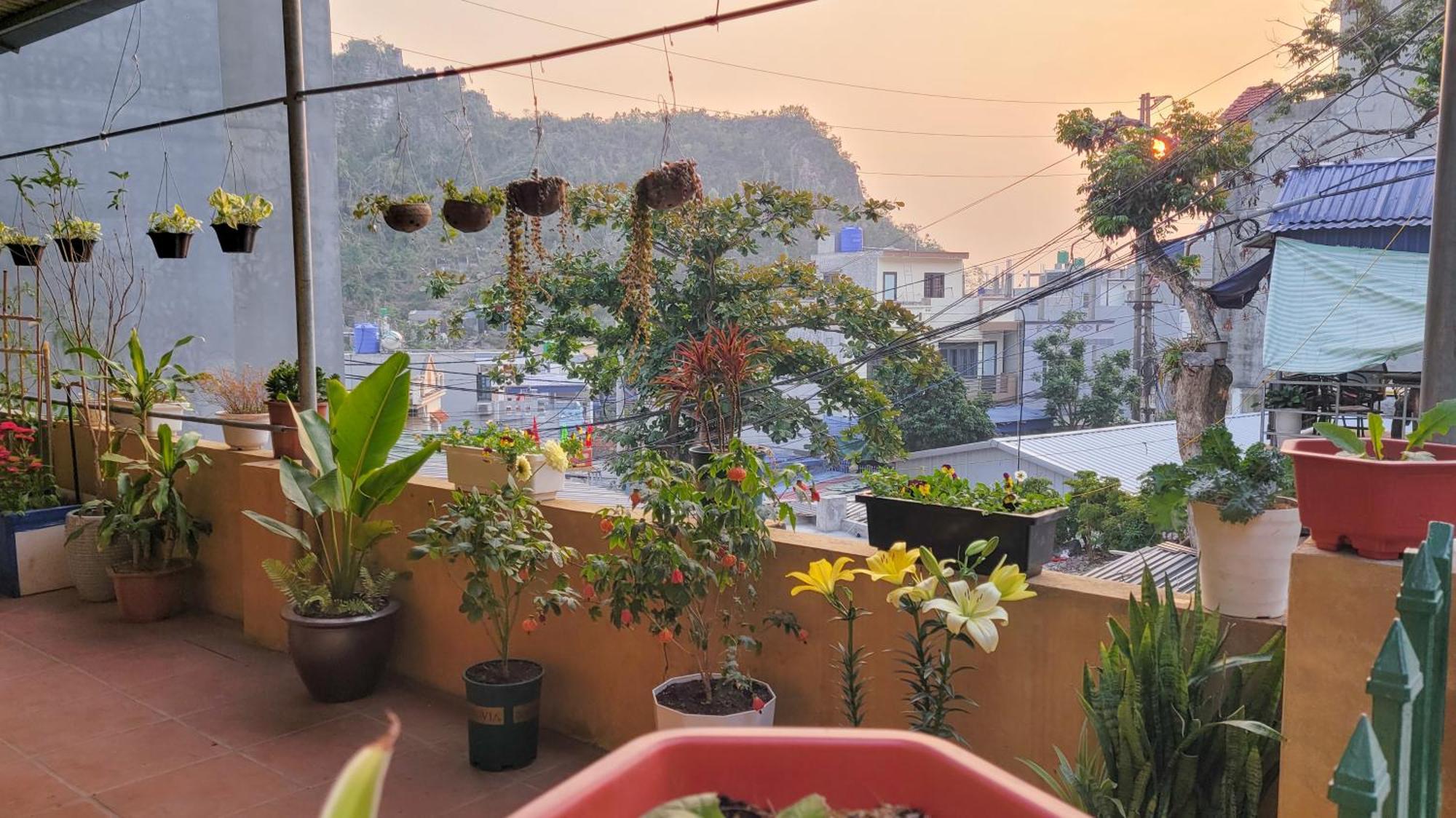 ホテル Tiny Garden House Cat Ba Chan Chau エクステリア 写真